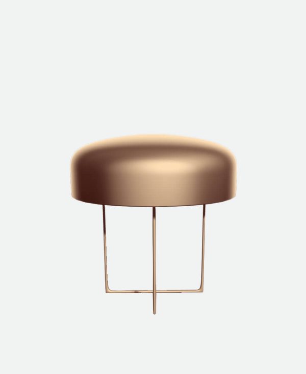 Product Name 12 – Bild 2